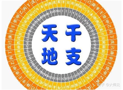 天干地支合|八字学习：天干地支的合化的最详细的理解（转）